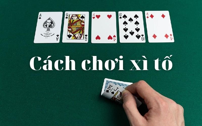 Xì Tố là gì? Tìm hiểu về luật chơi và quy tắc cần biết tại GO99