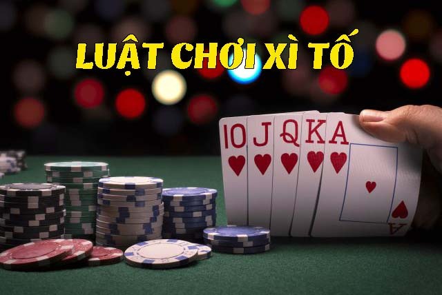 Xì Tố là gì? Tìm hiểu về luật chơi và quy tắc cần biết tại GO99